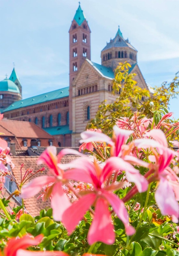 Hotel Domhof Main image